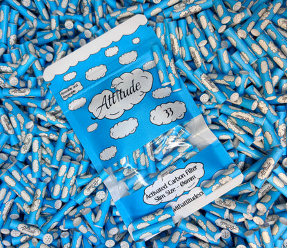 33er Packung Aktivkohle Filter ⌀6mm