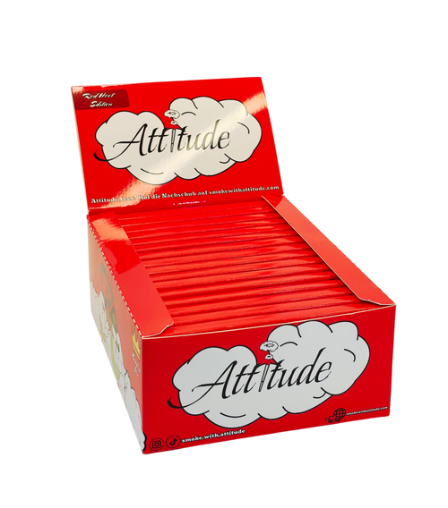 Display-Box 32x Longpapes mit Tips - Red Heart Edition