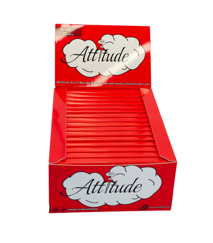Display-Box 32x Longpapes mit Tips - Red Heart Edition
